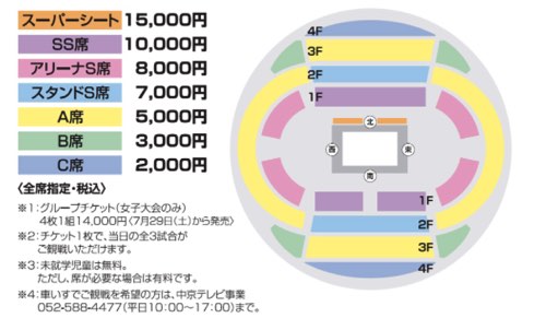 グラチャンバレーのチケット