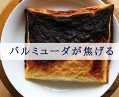 バルミューダ 焦げる