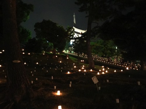 興福寺 燈花会
